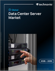 Global Data Center Server Market 2026-2030