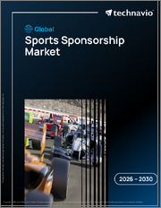 Global Sports Sponsorship Market 2026-2030