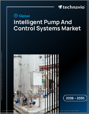 Global Intelligent Pump And Control Systems Market 2026-2030