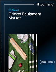 Global Cricket Equipment Market 2026-2030
