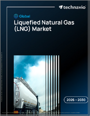 Global Liquefied Natural Gas (LNG) Market 2026-2030