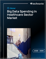 Global Big Data Spending In Healthcare Sector Market 2026-2030