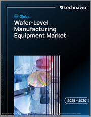Global Wafer-Level Manufacturing Equipment Market 2026-2030