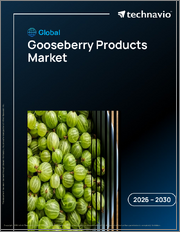 Global Gooseberry Products Market 2026-2030