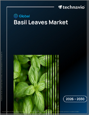Global Basil Leaves Market 2026-2030