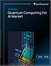 Global Quantum Computing For AI Market 2026-2030