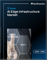 Global AI Edge Infrastructure Market 2026-2030