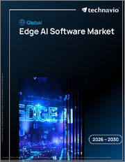 Global Edge AI Software Market 2026-2030