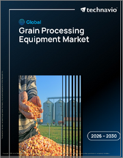 Global Grain Processing Equipment Market 2026-2030