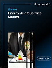 Global Energy Audit Service Market 2026-2030