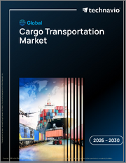Global Cargo Transportation Market 2026-2030