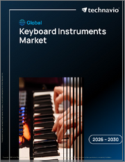 Global Keyboard Instruments Market 2026-2030