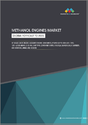 Methanol Engines Market By Usage, Power, Ship Type, Build, and Region - Global Forecast to 2035