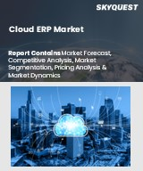Cloud ERP Market Size, Share, and Growth Analysis, By Component (Software, Services), By Deployment Type (Public Cloud, Private Cloud), By Organization Size, By Business Function, By Industry Vertical, By Region - Industry Forecast 2026-2033