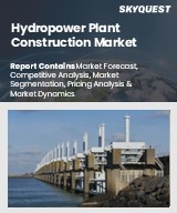 Hydropower Plant Construction Market Size, Share, and Growth Analysis, By Type (Water Storage, Diversion Powerplants), By Capacity (Large Hydropower Plants, Medium Hydropower Plants), By Application, By Region - Industry Forecast 2026-2033