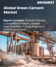 Green Cement Market Size, Share, and Growth Analysis, By Type (Fly-ash Based, Slag Based), By End User (Residential, Commercial), By Region - Industry Forecast 2026-2033
