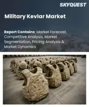 Military Kevlar Market Size, Share, and Growth Analysis, By Product Category, By Functionality, By End-Use Sector, By Material Integration, By Sales Channel, By Region - Industry Forecast 2026-2033