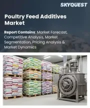 Poultry Feed Additives Market Size, Share, and Growth Analysis, By Product Type (Amino Acids, Vitamins and Minerals), By Form, By Application Focus, By Poultry Type, By Sales Channel, By Region - Industry Forecast 2026-2033