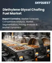 Diethylene Glycol Chafing Fuel Market Size, Share, and Growth Analysis, By Product Form, By Burn Time, By Packaging Type, By Wick Type, By Application, By End-User Segment, By Region - Industry Forecast 2026-2033