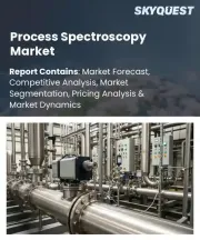 Process Spectroscopy Market Size, Share, and Growth Analysis, By Component, By Technology (Molecular Spectroscopy, Mass Spectroscopy), By Measurement Mode, By Application, By End-Use Industry, By Region - Industry Forecast 2026-2033