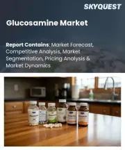 Glucosamine Market Size, Share, and Growth Analysis, By Product Type, By Source (Marine, Synthetic/Non-Marine), By Application, By Distribution Channel, By Region - Industry Forecast 2026-2033