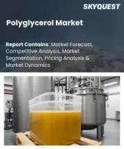 Polyglycerol Market Size, Share, and Growth Analysis, By Product Type (Polyglycerol Esters (PGE), Polyglycerol Polyricinoleate (PGPR)), By Source (Plant-Based, Animal-Based), By Function, By End-Use Application, By Region - Industry Forecast 2026-2033