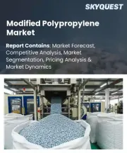 Modified Polypropylene Market Size, Share, and Growth Analysis, By Type Focus (Isotactic Polypropylene, Syndiotactic Polypropylene), By Processing Method (Injection Molding, Extrusion), By End-Use Application, By Region - Industry Forecast 2026-2033