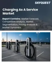 Charging As A Service Market Size, Share, and Growth Analysis, By Service Model (Subscription-Based Charging, Pay-Per-Use Charging), By Application (Passenger Vehicles, Commercial Vehicles), By Location Type, By Region - Industry Forecast 2026-2033