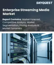 Enterprise Streaming Media Market Size, Share, and Growth Analysis, By Component (Solutions, Services), By Deployment Mode (Cloud-Based, On-Premises), By Content Type, By Application, By End-Use Industry, By Region - Industry Forecast 2026-2033