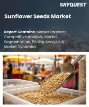 Sunflower Seeds Market Size, Share, and Growth Analysis, By Product Type (Raw Sunflower Seeds, Roasted Sunflower Seeds), By End User (Households, Food Service), By Packaging Type, By Sales Channel, By Region - Industry Forecast 2026-2033