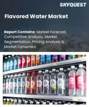 Flavored Water Market Size, Share, and Growth Analysis, By Product Type (Natural Flavored Water, Artificial Flavored Water), By Packaging Type, By Distribution Channel, By Consumer Demographics, By Region - Industry Forecast 2026-2033