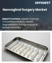 Neovaginal Surgery Market Size, Share, and Growth Analysis, By Product (Clinical IndicationVaginal Agenesis Treatment, Vaginal Atresia Treatment), By Treatment Type, By Surgical Technique Focus, By Region - Industry Forecast 2026-2033