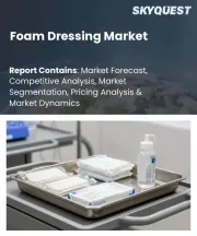 Foam Dressing Market Size, Share, and Growth Analysis, By Product Type (Adhesive Foam Dressings, Non-adhesive Foam Dressings), By Application (Chronic Wounds, Acute Wounds), By End-User, By Region - Industry Forecast 2026-2033