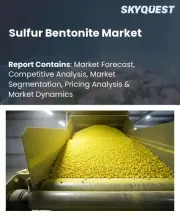 Sulfur Bentonite Market Size, Share, and Growth Analysis, By Product Type (Sodium Bentonite, Calcium Bentonite), By End Use Application (Drilling Fluids, Binder), By End-use Industry, By Region - Industry Forecast 2026-2033