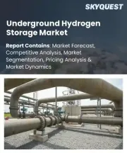 Underground Hydrogen Storage Market Size, Share, and Growth Analysis, By Storage Type (Salt Caverns, Depleted Gas Reservoirs), By End-Use Industry (Power Generation, Transportation), By Region - Industry Forecast 2026-2033