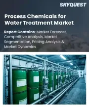Process Chemicals for Water Treatment Market Size, Share, and Growth Analysis, By Product Type (Coagulants and Flocculants, Biocides and Disinfectants), By Application, By End User, By Region - Industry Forecast 2026-2033