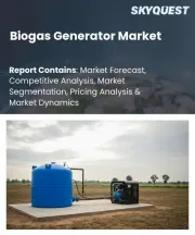 Biogas Generator Market Size, Share, and Growth Analysis, By Type (Fixed-Dome Plants, Floating-Drum Plants), By Feedstock Type (Agricultural Waste, Animal Waste), By Operation Mode, By Region - Industry Forecast 2026-2033