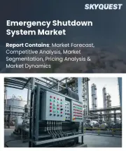 Emergency Shutdown System Market Size, Share, and Growth Analysis, By Component (Sensors & Detectors, Final Control Elements), By Safety Integrity Level (SIL 1, SIL 2), By Industry, By Region - Industry Forecast 2026-2033