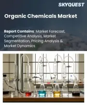 Organic Chemicals Market Size, Share, and Growth Analysis, By Product Type (Alcohols, Organic Acids), By Source Focus (Petrochemical Based, Bio-Based), By Application, By Region - Industry Forecast 2026-2033