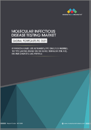 Molecular Infectious Disease Testing Market by Product & Service (Kits, Instruments), Type (Singleplex, Multiplex), Test Type (Lab, PoC), Disease (STD, Flu, GI, HAI), Technology (PCR, NGS), End User (Diagnostic Labs, Hospitals) - Global Forecast to 2031