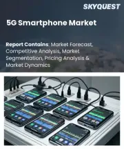5G Smartphone Market Size, Share, and Growth Analysis, By Operating System (Android Smartphones, iOS Smartphones), By Price Range, By Display Type, By RAM Capacity, By Application, By Distribution Channel, By Region - Industry Forecast 2026-2033