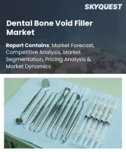 Dental Bone Void Filler Market Size, Share, and Growth Analysis, By Product Type (Synthetic Bone Fillers, Allograft (Human-Derived)), By Application (Tooth Extraction Sites, Implant Surgery), By End-User, By Region - Industry Forecast 2026-2033