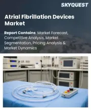 Atrial Fibrillation Devices Market Size, Share, and Growth Analysis, By Device Type (Ablation Devices, Implantable Devices), By Procedure (Catheter Ablation, Surgical Ablation), By End-User, By Region - Industry Forecast 2026-2033