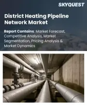 District Heating Pipeline Network Market Size, Share, and Growth Analysis, By Pipe Type, By Pipe Diameter, By Installation Type, By Network Type, By Heat Source Integration, By Application, By Region - Industry Forecast 2026-2033