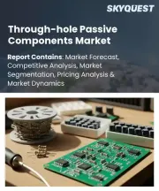 Through-hole Passive Components Market Size, Share, and Growth Analysis, By Component Type, By Mounting Type, By Application, By Material Type, By End-use Industry, By Distribution Channel, By Region - Industry Forecast 2026-2033