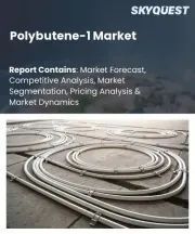 Polybutene-1 Market Size, Share, and Growth Analysis, By Grade (Pipe Grade, Film Grade), By Application (Piping Systems (Hot & Cold Water), Film & Packaging), By End-Use, By Distribution, By Region - Industry Forecast 2026-2033