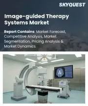 Image-guided Therapy Systems Market Size, Share, and Growth Analysis, By Product Type, By Application, By Procedure Type, By End User, By Technology, By Mobility, By Region - Industry Forecast 2026-2033