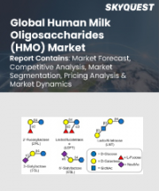 Human Milk Oligosaccharides (HMO) Market Size, Share, and Growth Analysis, By Type (2'FL, 3'FL), By Product (Fucosyllactose, Lnt & LNnt), By Application, By Distribution channel, By Region - Industry Forecast 2026-2033