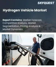 Hydrogen Vehicle Market Size, Share, and Growth Analysis, By Vehicle Type, By Technology, By Range, By Propulsion, By Hydrogen Source, By Distribution Channel, By End User, By Region - Industry Forecast 2026-2033