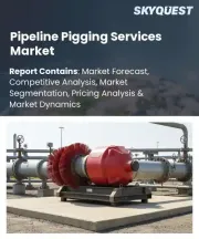 Pipeline Pigging Services Market Size, Share, and Growth Analysis, By Service Type, By Pig Type, By Application, By End-use Industry, By Pipeline Type, By Location Type, By Region - Industry Forecast 2026-2033